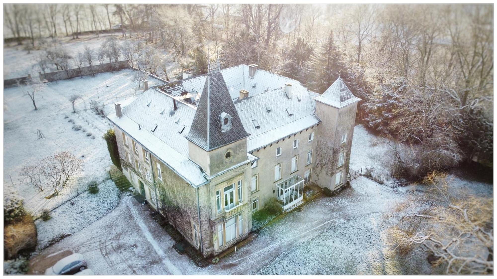 Chateau De Logne Au Coeur De La Moselle Ay-sur-Moselle Værelse billede