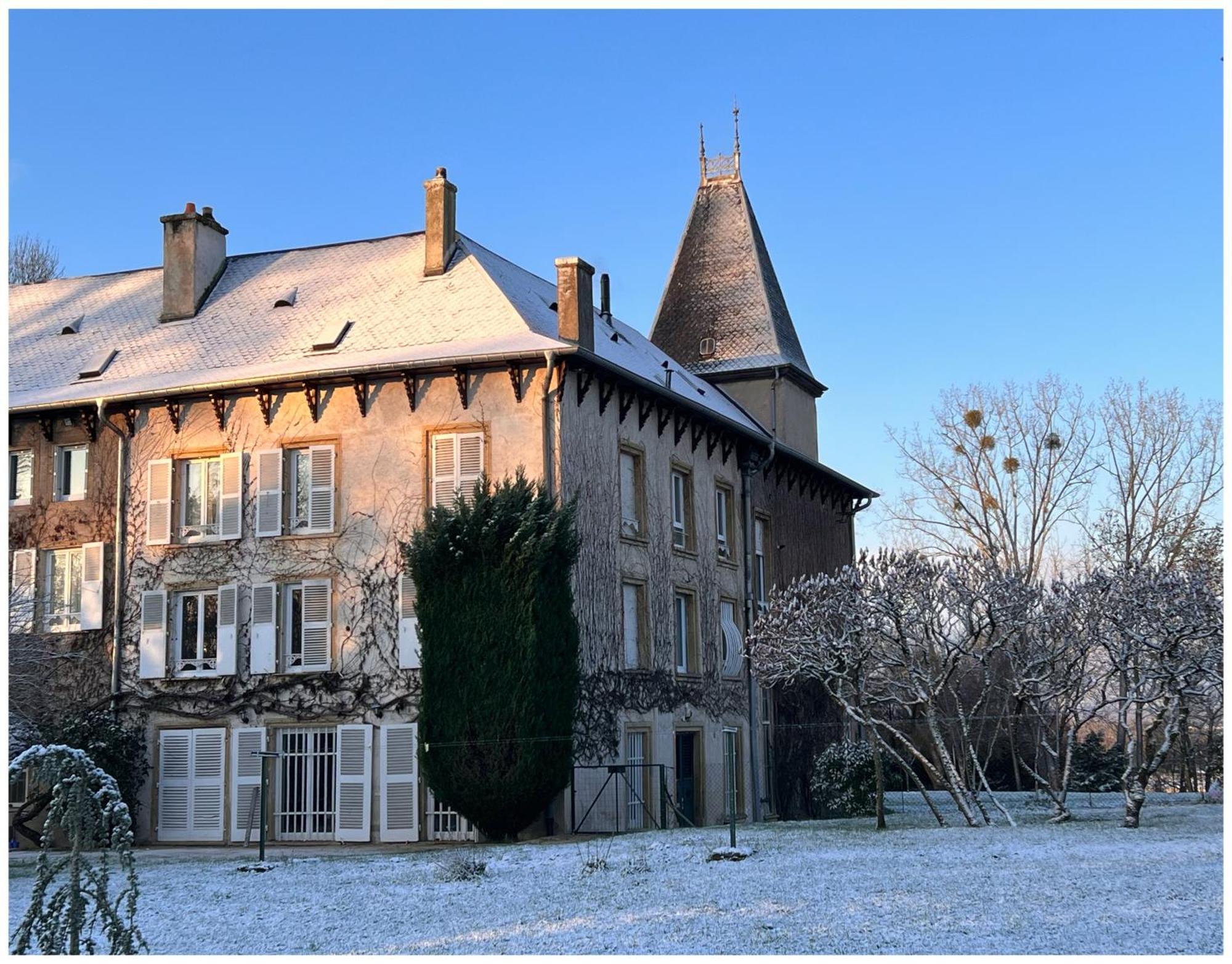 Chateau De Logne Au Coeur De La Moselle Ay-sur-Moselle Værelse billede