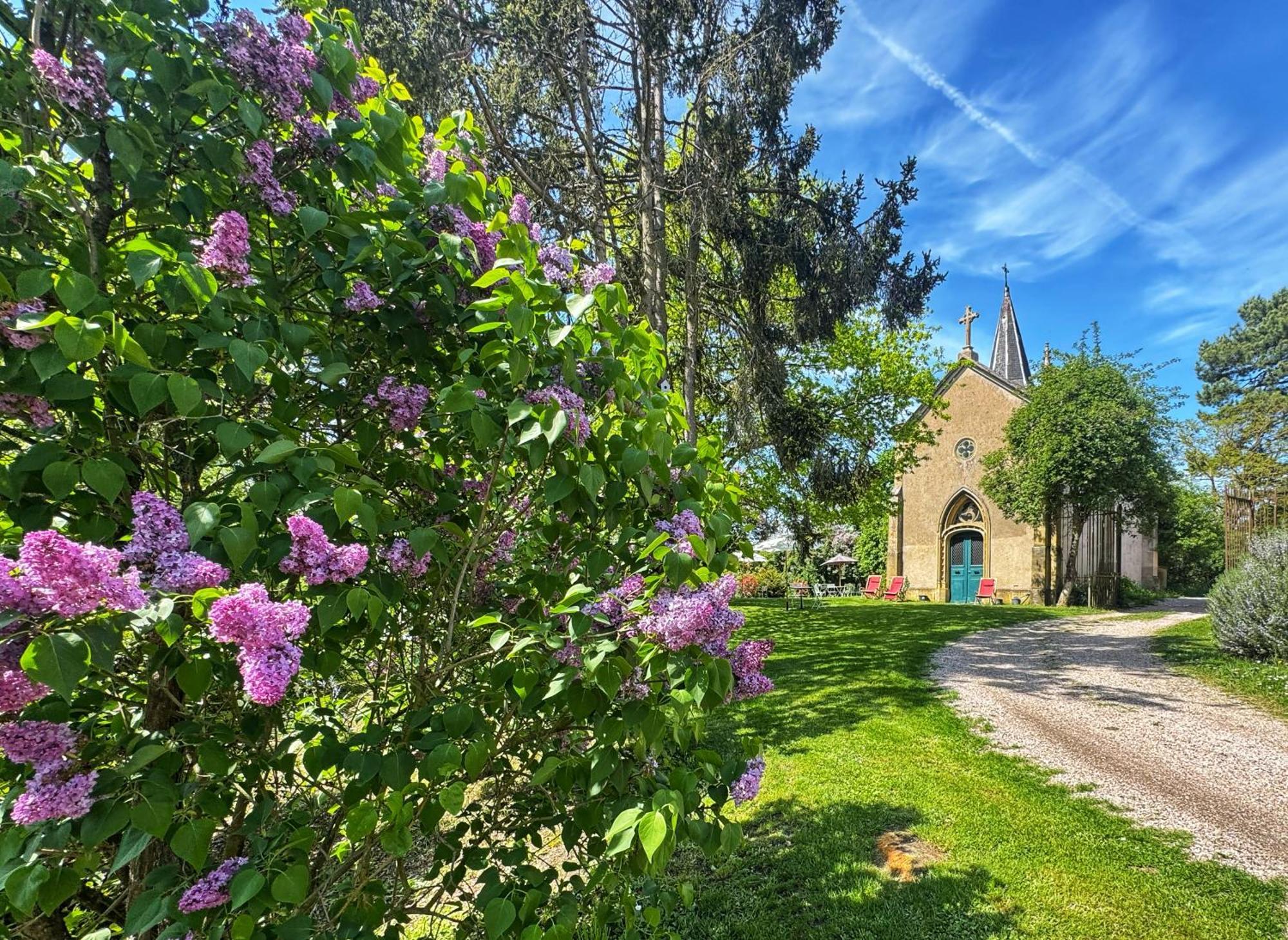 Chateau De Logne Au Coeur De La Moselle Ay-sur-Moselle Eksteriør billede