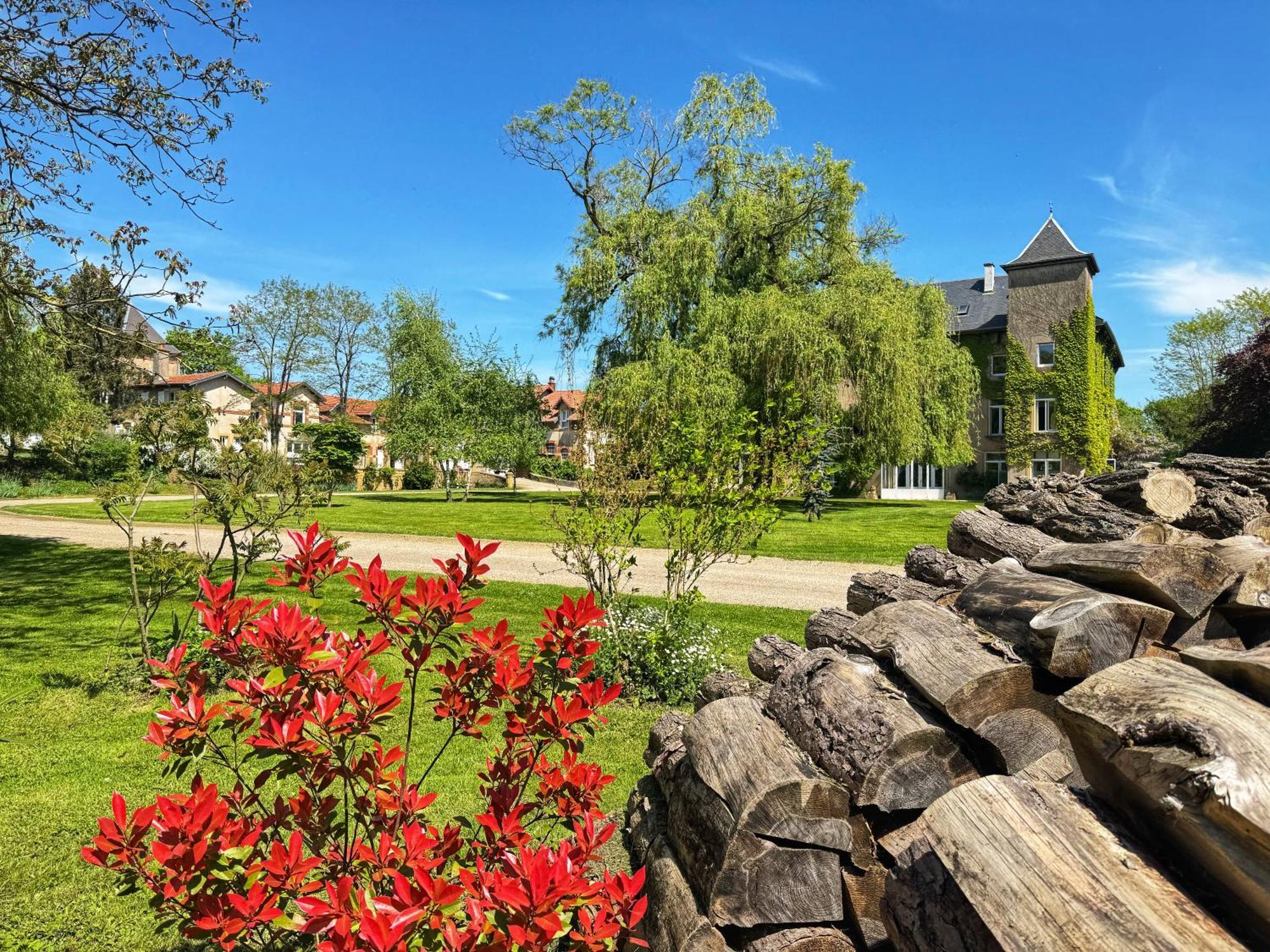 Chateau De Logne Au Coeur De La Moselle Ay-sur-Moselle Eksteriør billede