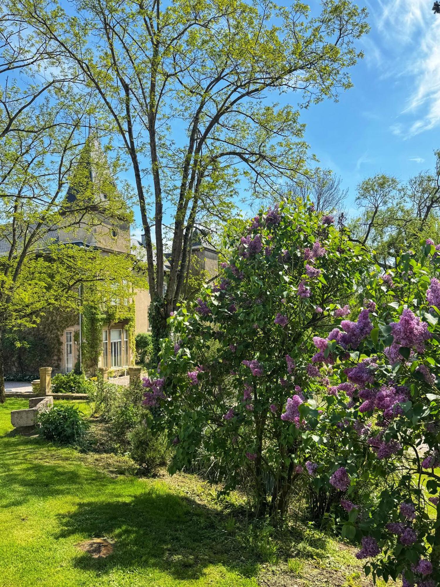 Chateau De Logne Au Coeur De La Moselle Ay-sur-Moselle Eksteriør billede